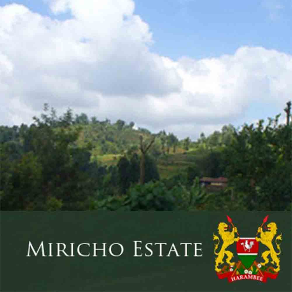 J Martinez Single Origin Miricho Estate Kenya AA Dark Roast Coffee 1 LB