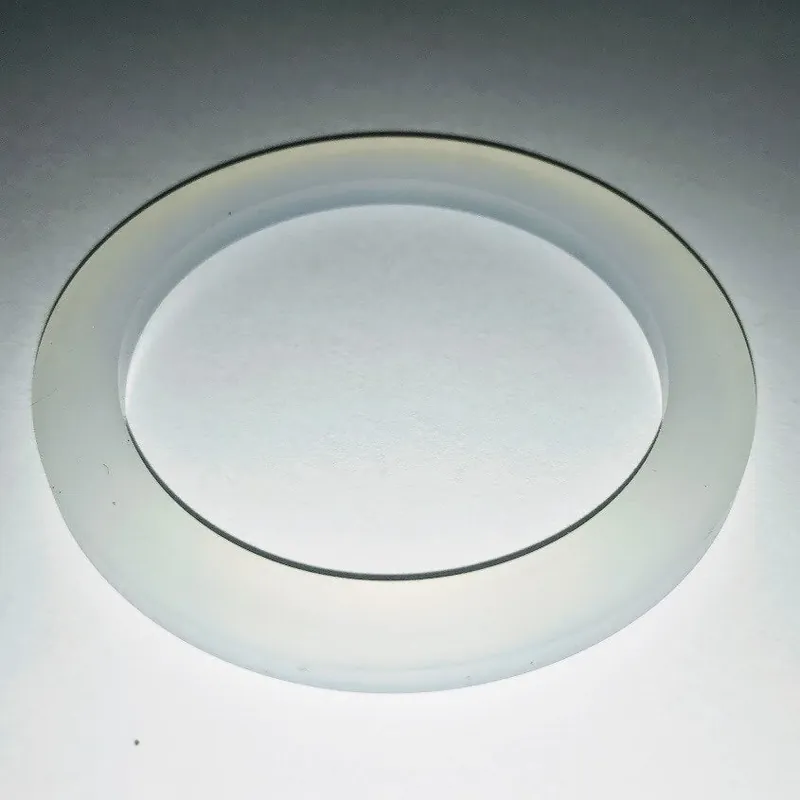 100008201 - Francis Francis - Group Gasket for X1, X3, X5
