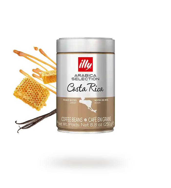 illy - Arabica Selection - Costa Rica - 8.8oz Can