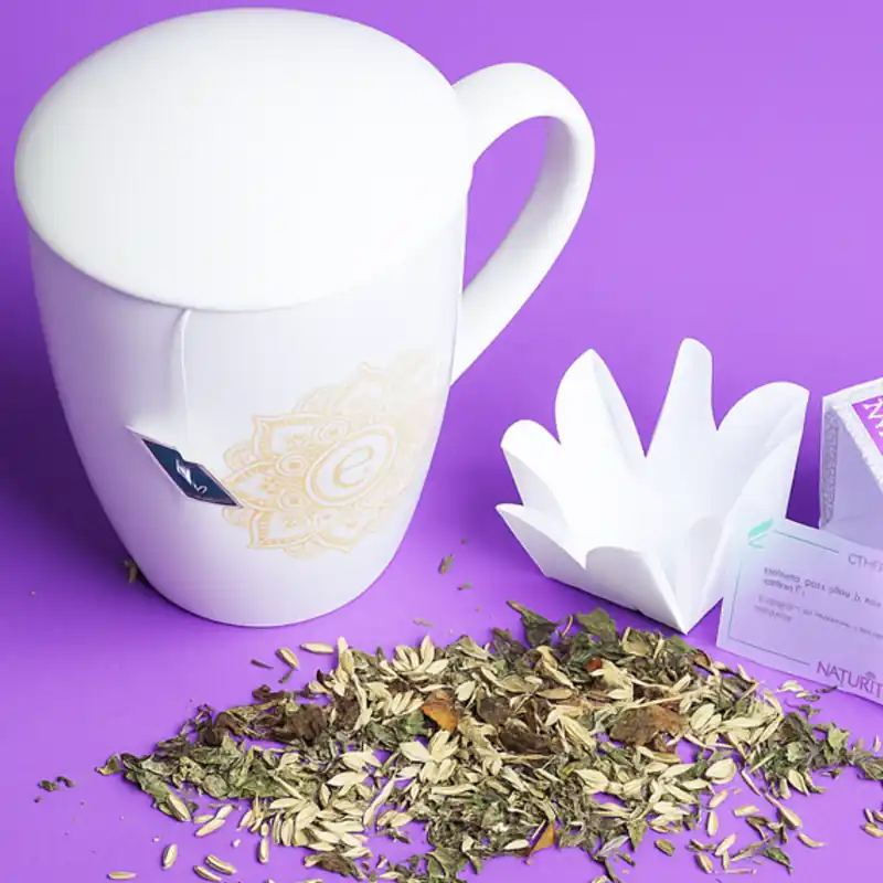 6 Tisane a foglie NaturTè con filtro in seta piramidale