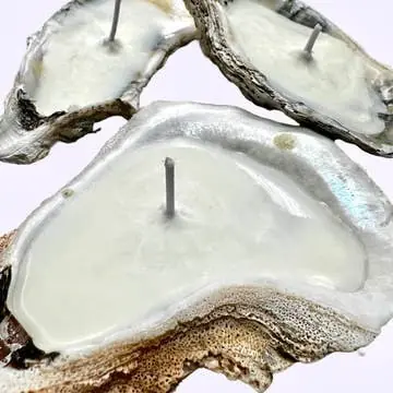 Real Oyster Shell with wax candle inside