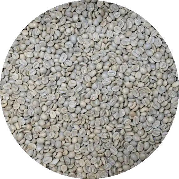 Costa Rican SHB EP Tarrazu La Pastora – Washed Processed