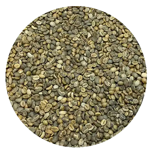 BCT Jumpstart Blend