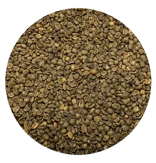 Decaffeinated Honduran Org Royal Select – MWP