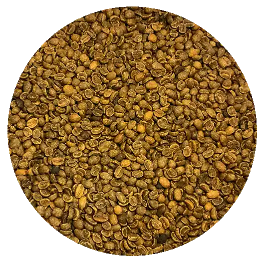 Decaffeinated Guatemalan Org. – Finca Santa Isabel – MWP