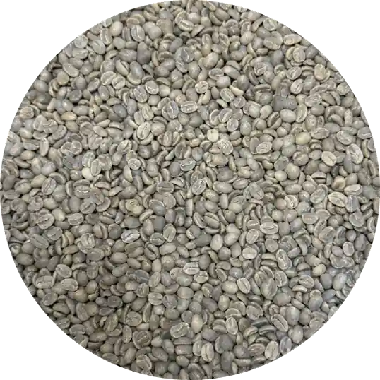 Colombian Antioquia Amaga Supremo