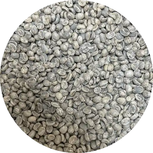 Guatemalan Premium Fraijanes – Finca De Dios – Washed Processed