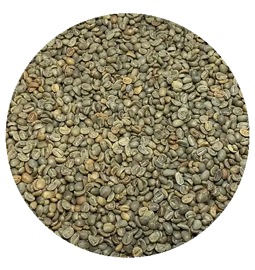 Haitian Premium – Singing Rooster – Honey Processed