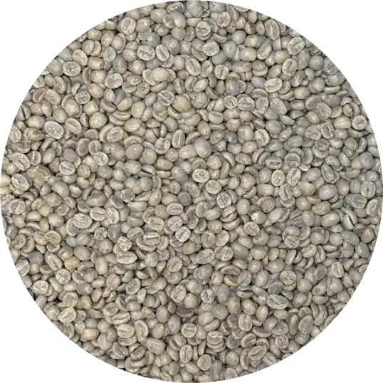 Rwanda FTO Dukunde Kawa Musasa – Ruli Mountain – Washed Bourbon