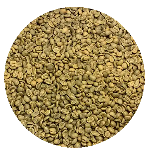 Colombian Supremo Huila