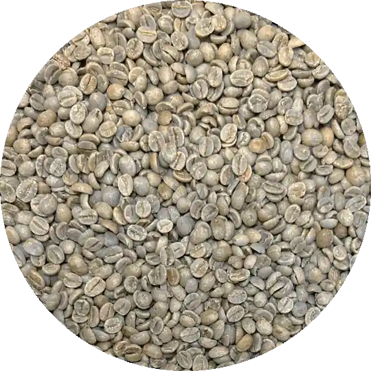 Brazil Mogiana Guaxupé 17/18 FC SS