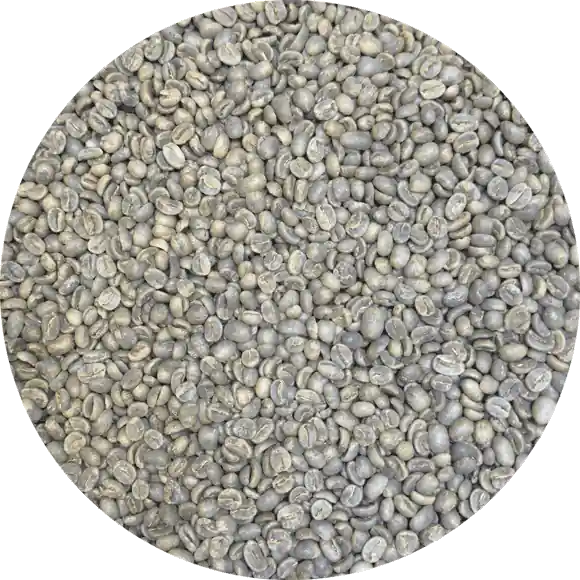 Costa Rican Alajuela SHB EP – El Poeta