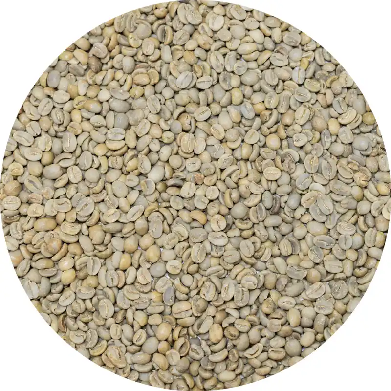 Mexican Altura Veracruz – Natural Processed