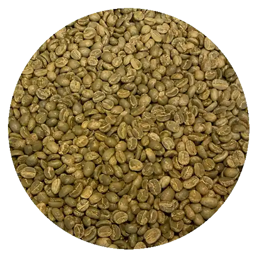 Colombian High Grown – Diana, Omar, Harby Lopez – El Cortijo – Venecia Farms – Cafe Social