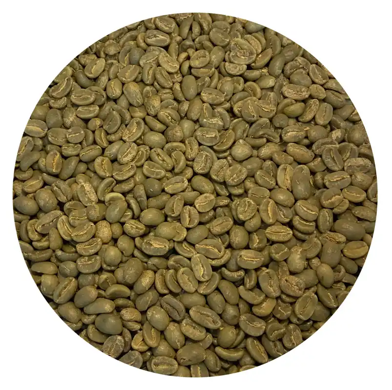 Indonesian Sulawesi Toarco Jaya A Fully Washed