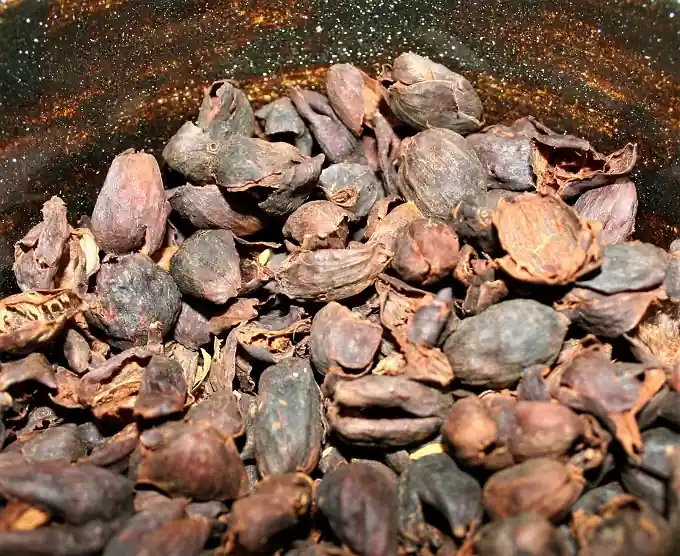 Hawaiian Hala Tree Farms – Cascara – Coffee Cherry Tea