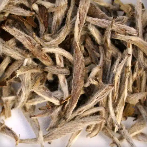 King of Silver Needles White Tea
