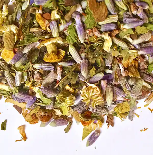 Lavender Sleepy Time BCT Premium Blend
