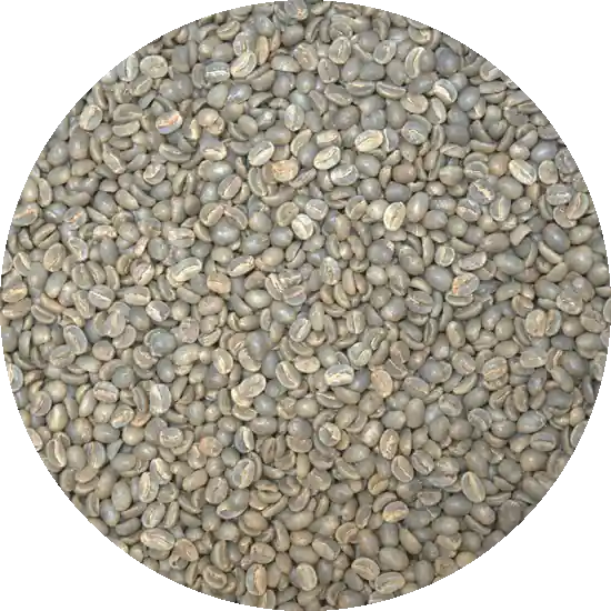 Jamaican Blue Mountain Gr. 1- Flamstead Estate – Flat Bean