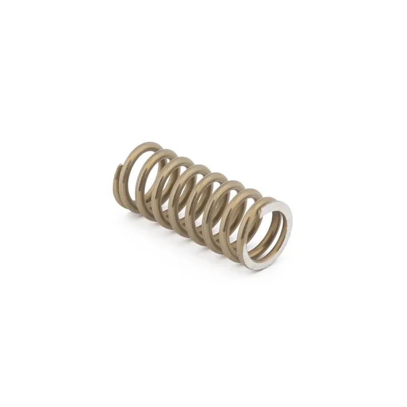 Mahlkonig Guatemala Pressure Spring 2X13X36 N9-1.4310