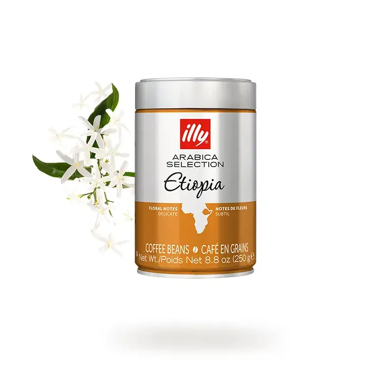 Arabica Selection Whole Bean Etiopia – 6-Pack
