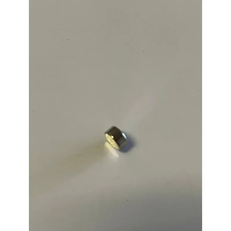 Saeco Bean Hopper lid Magnet