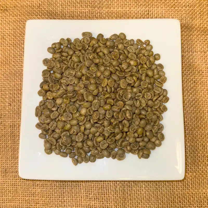 Unroasted Green Coffee- Costa Rica Tarrazu 1 LB