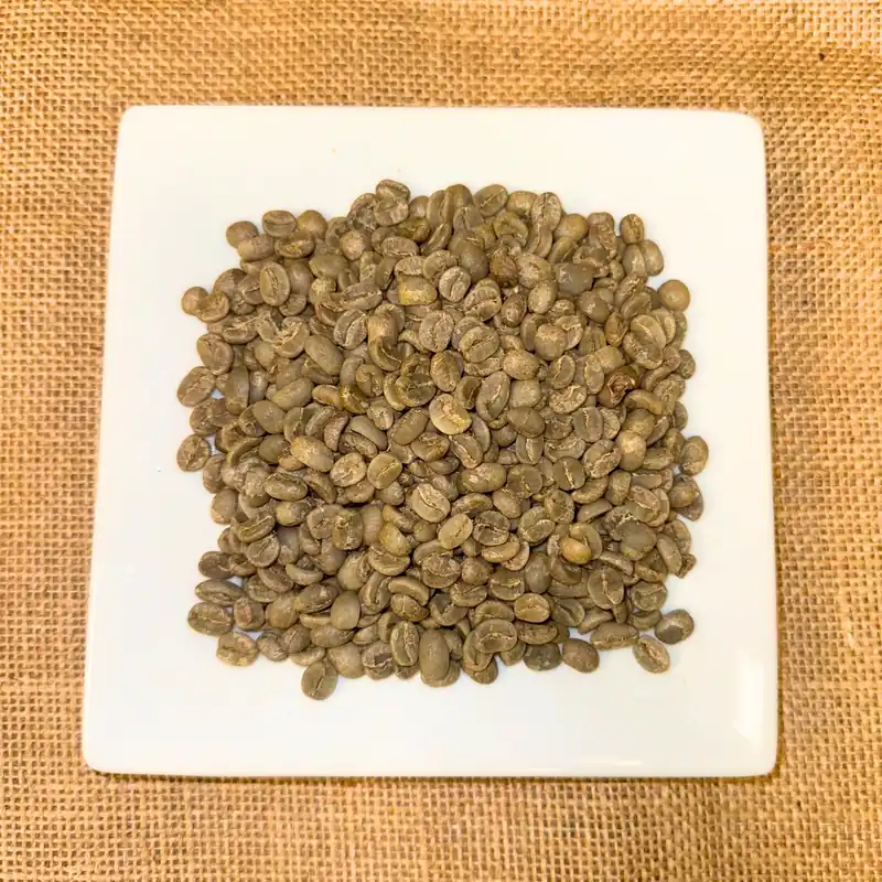 Unroasted Green Coffee- Nicaragua Shade Grown 1 LB