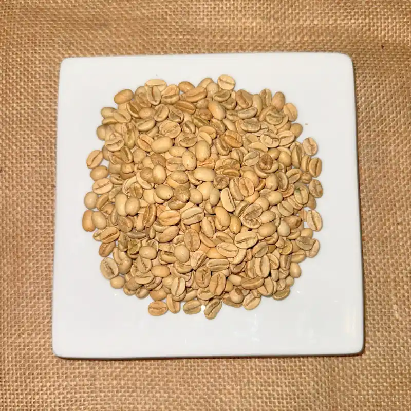 Unroasted Green Coffee- Indian Monsoon Malabar 1 LB
