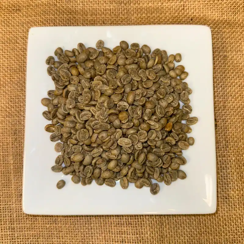 Unroasted Green Coffee- Honduras SHG 1 LB