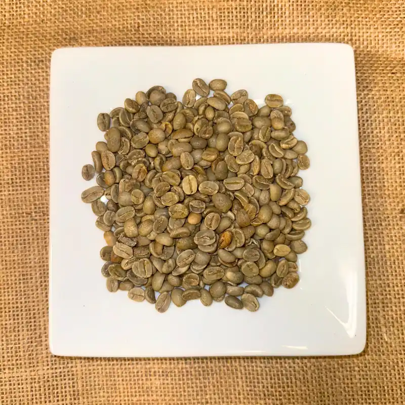 Unroasted Green Coffee- Mexican Chiapas 1 LB